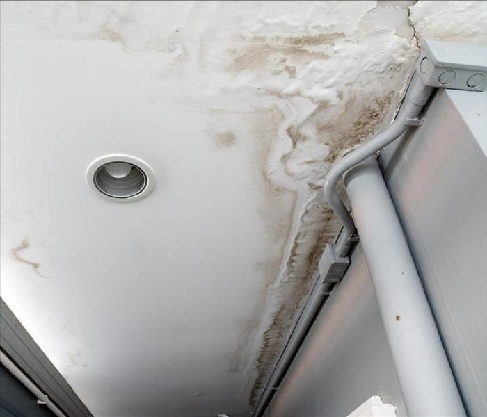 Water damage, Ceiling panels with fungus outside house from water pipes damaged or rainy leaked.